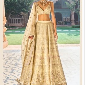 brand new lehengha